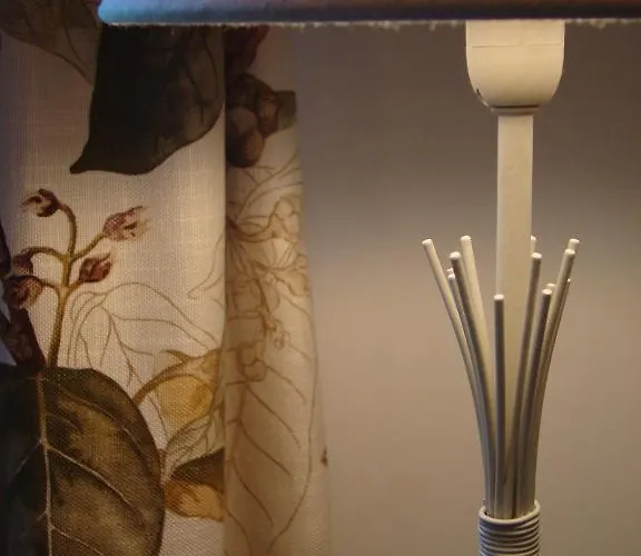 بيت ضيافة مالاغا لودج